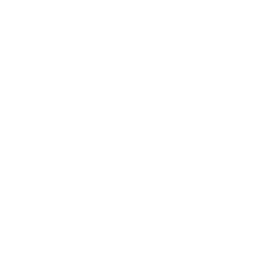 Slingshot Film Foundation Logo